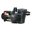 Non-submersible pond pump