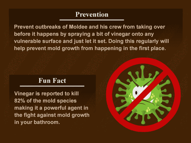 Mold prevention
