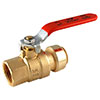 Sharkbite push-fit FIPS ball valve