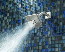 Shower Head