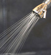 luxurious 6-jet deluxe all brass showerhead - full body