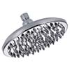 Danze 8-in sunflower rain spray shower head