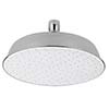 Delta watering can shower head