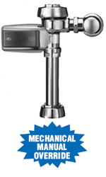 Royal Smooth Flushometer