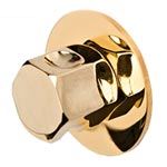 Steam-Whirl steam head and escutcheon in Polished Gold finish
