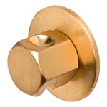 Steam-Whirl steam head and escutcheon in Satin Gold finish