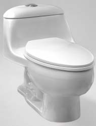 Prominence toilet