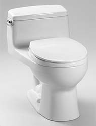Supreme toilet