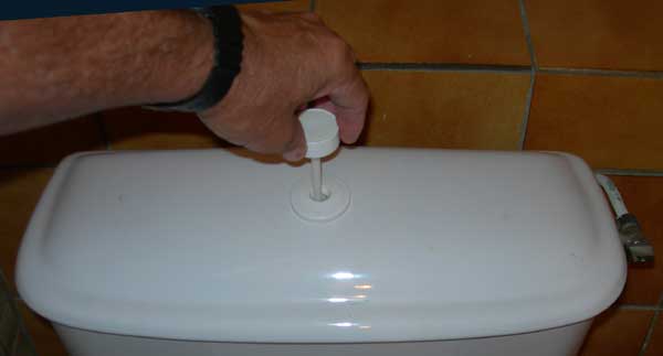 Pulling a toilet tank lid handle in France