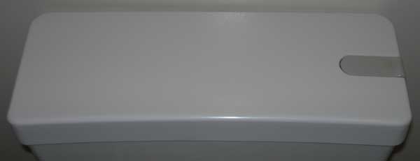 Clean toilet tank lid in Switzerland
