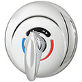 Safetymix tub/shower valve