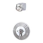 Vandal resistant index shower symmons temptrol