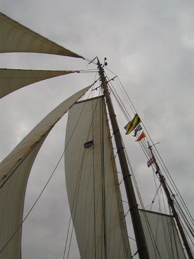 Vic eenhoorn five sails artistic view