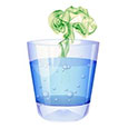 Common odor problems in water