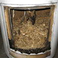 How to flush your water heater