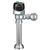Dual flushometer