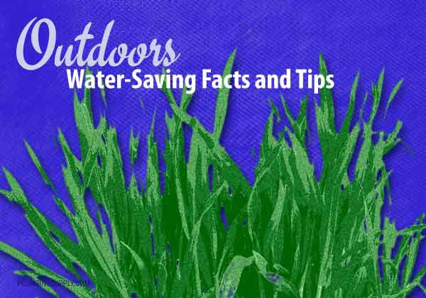 Water friendly outdoor garden