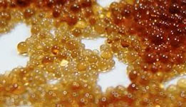 Water softener resins