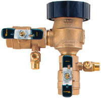 example of a small Watts pressure vacuum breaker