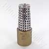 Brass foot valve