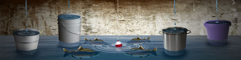 Basement flood becomes a yucky pond